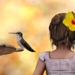 Where to hang a hummingbird feeder