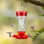 A red glass hummingbird feeder with star decorations, four feeding ports with perches, and a built-in ant moat.