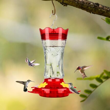 A red glass hummingbird feeder with star decorations, four feeding ports with perches, and a built-in ant moat.