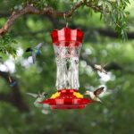 A red glass hummingbird feeder with star decorations, four feeding ports with perches, and a built-in ant moat.