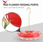 Two pure red eWonLife saucer hummingbird feeders with clear bases, hanging outdoors among green foliage.