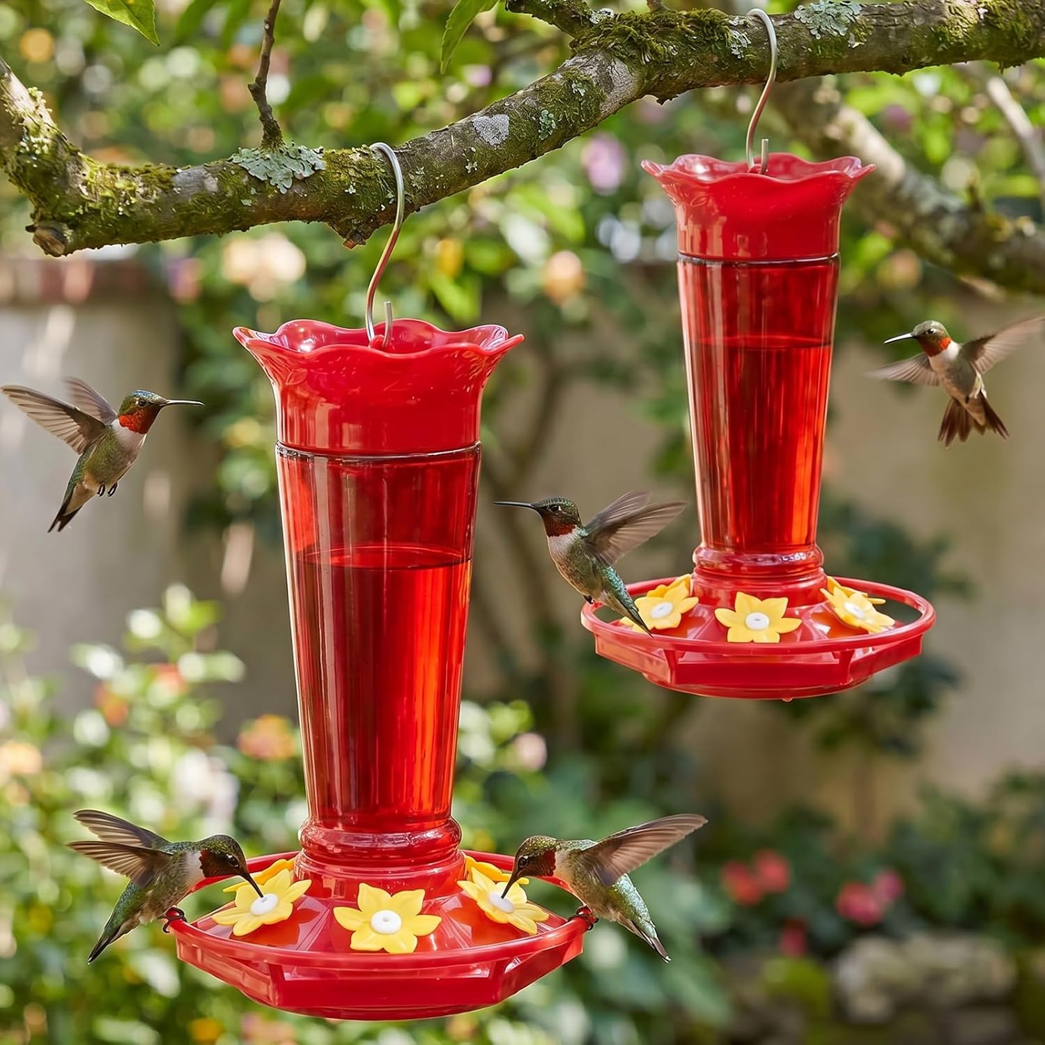 gbekery-10-oz-red-glass-hummingbird-feeder-2-pack-ant-bee-proof-01 Two vibrant red glass hummingbird feeders, hanging outdoors, with ant moats visible and flower-shaped feeding ports.