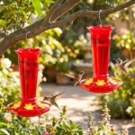 Two vibrant red glass hummingbird feeders, hanging outdoors, with ant moats visible and flower-shaped feeding ports.