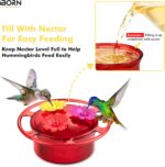 Four iBorn mini hummingbird feeders with red silicone flower feeding ports, hanging outdoors with a hummingbird nearby.