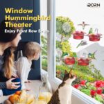 A vibrant red iBorn window hummingbird feeder with clear nectar reservoir, attached to a window pane via a large suction cup,
