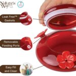 A vibrant red, hand-blown glass hummingbird feeder with a decorative hanging basket and three feeding ports.