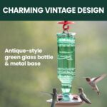 Perky-Pet Antique Green Glass Hummingbird Feeder with a brushed nickel base and four flower-shaped feeding ports, hanging out