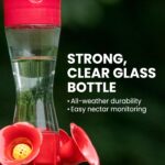 Two clear glass Perky-Pet hummingbird feeders with red flower feeding ports and U-shaped perches, hanging outdoors.