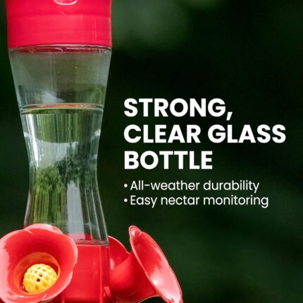 Two clear glass Perky-Pet hummingbird feeders with red flower feeding ports and U-shaped perches, hanging outdoors.