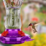 A vibrant purple glass hummingbird feeder with four flower-shaped feeding ports and a built-in ant moat, ready for hanging.
