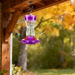 A vibrant purple glass hummingbird feeder with four flower-shaped feeding ports and a built-in ant moat, ready for hanging.